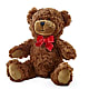 Adorable Plush Bear – BROWN'S FLOWERS & GIFTS, Fircrest WA