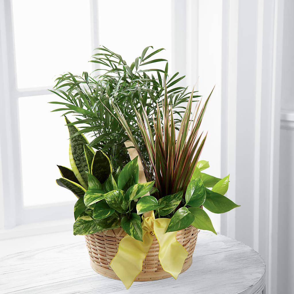 French Garden – BROWN'S FLOWERS & GIFTS, Fircrest WA