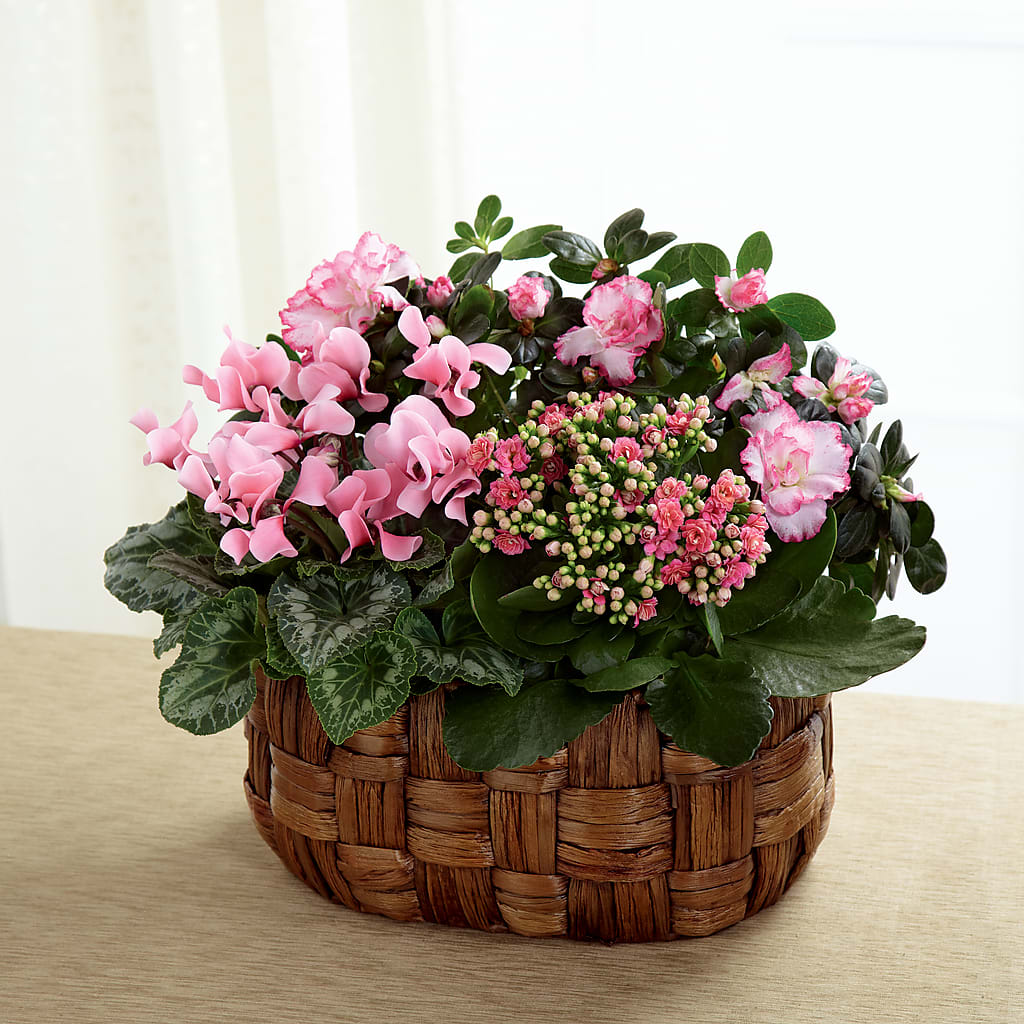 Pink Assortment – BROWN'S FLOWERS & GIFTS, Fircrest WA