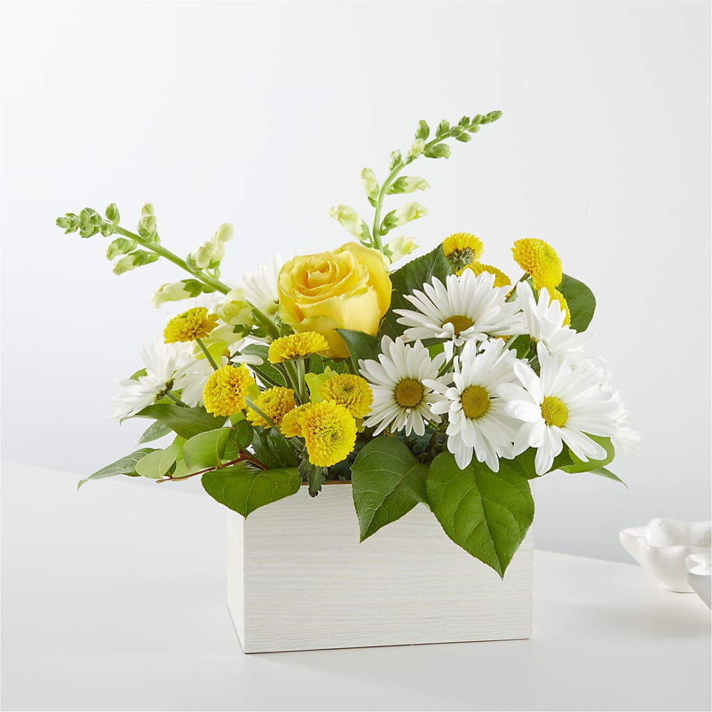 Sun Salutation Box Bouquet – BROWN'S FLOWERS & GIFTS, Fircrest WA