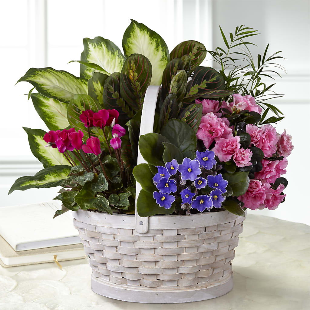 Peaceful Garden Planter – BROWN'S FLOWERS & GIFTS, Fircrest WA