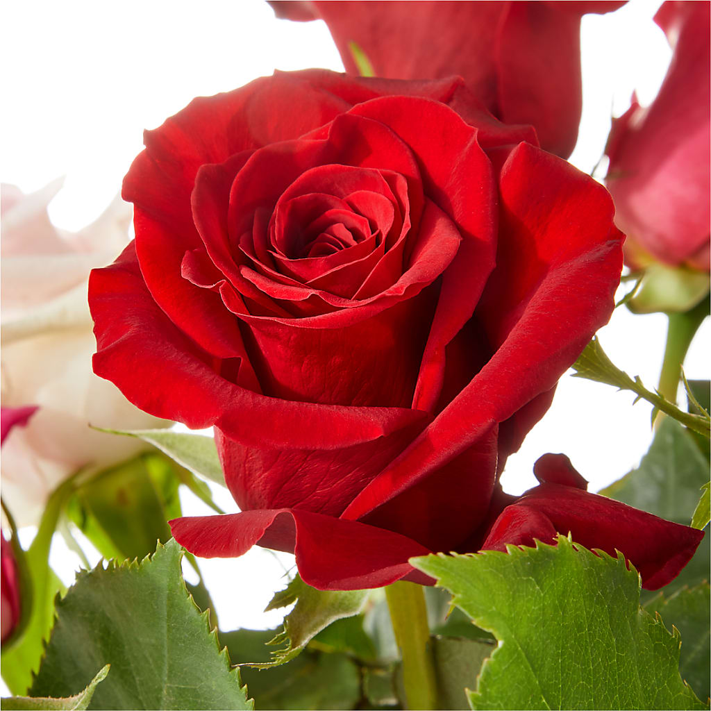 Love Notes Rose Bouquet – BROWN'S FLOWERS & GIFTS, Fircrest WA