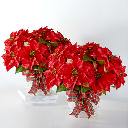 Happiest Holidays Poinsettia Bundle – BROWN'S FLOWERS & GIFTS, Fircrest WA