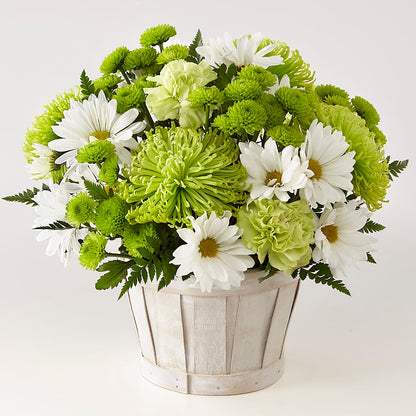 Lucky Charm Basket (Standard) – BROWN'S FLOWERS & GIFTS, Fircrest WA