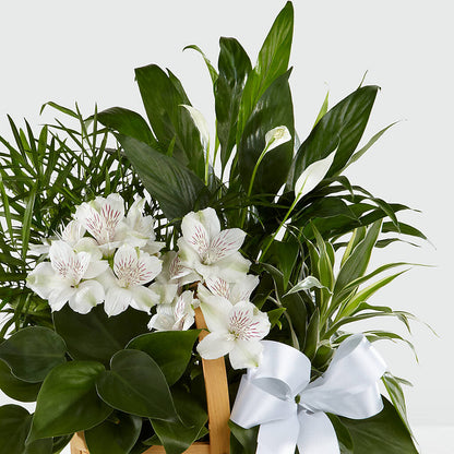 Peace & Serenity Dishgarden – BROWN'S FLOWERS & GIFTS, Fircrest WA