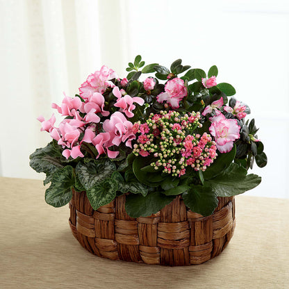 Pink Assortment – BROWN'S FLOWERS & GIFTS, Fircrest WA