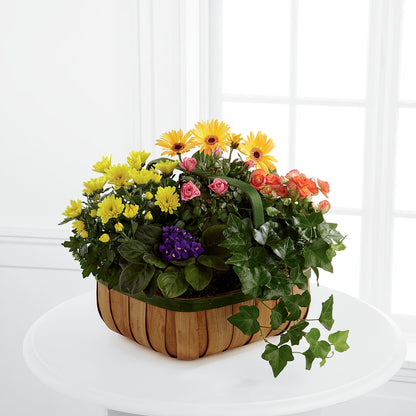Gentle Blossoms Basket – BROWN'S FLOWERS & GIFTS, Fircrest WA