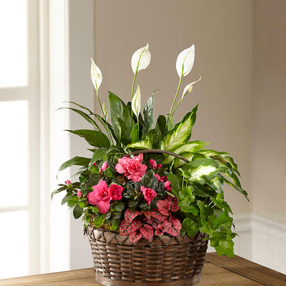 Dream in Pink Dishgarden – BROWN'S FLOWERS & GIFTS, Fircrest WA