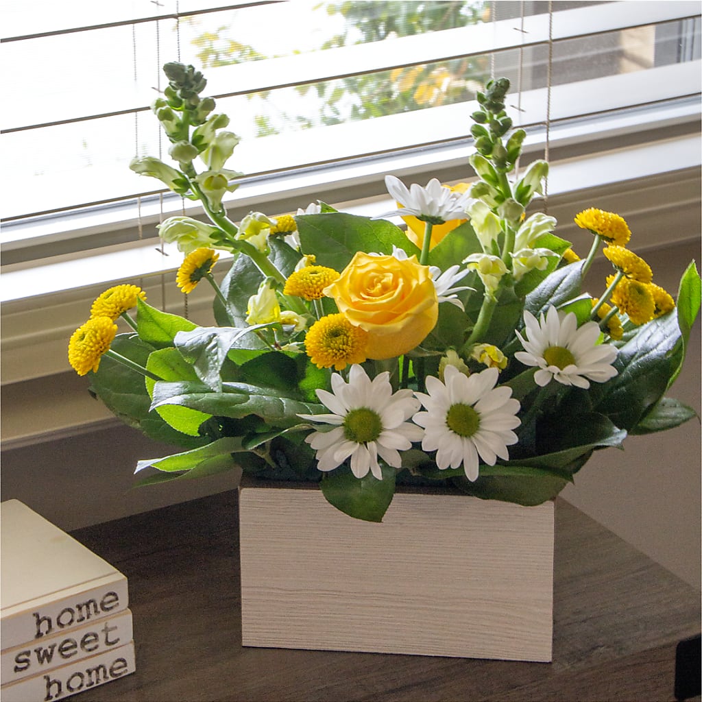 Sun Salutation Box Bouquet – BROWN'S FLOWERS & GIFTS, Fircrest WA