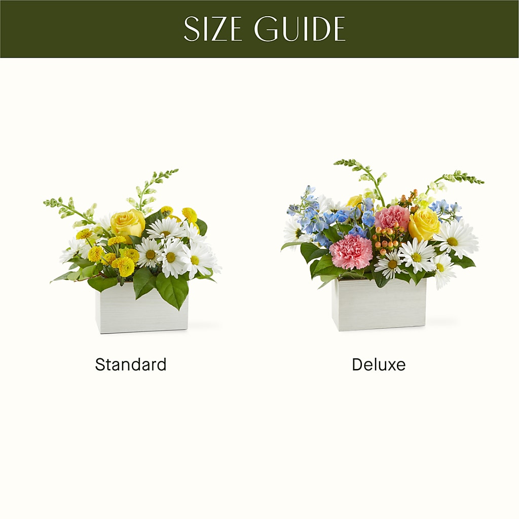 Sun Salutation Box Bouquet – BROWN'S FLOWERS & GIFTS, Fircrest WA