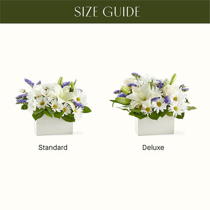 Beyond Blue Box Bouquet – BROWN'S FLOWERS & GIFTS, Fircrest WA