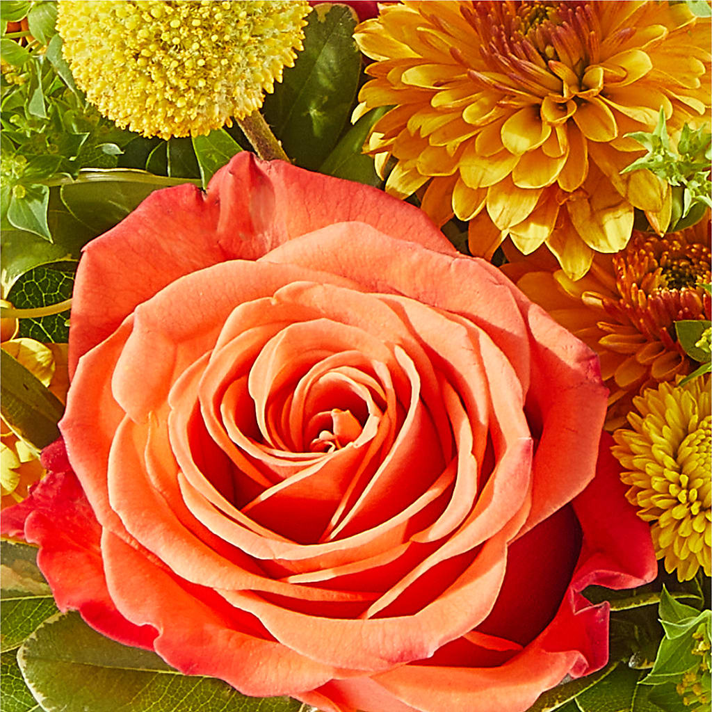 Gourdgeous Pumpkin – BROWN'S FLOWERS & GIFTS, Fircrest WA