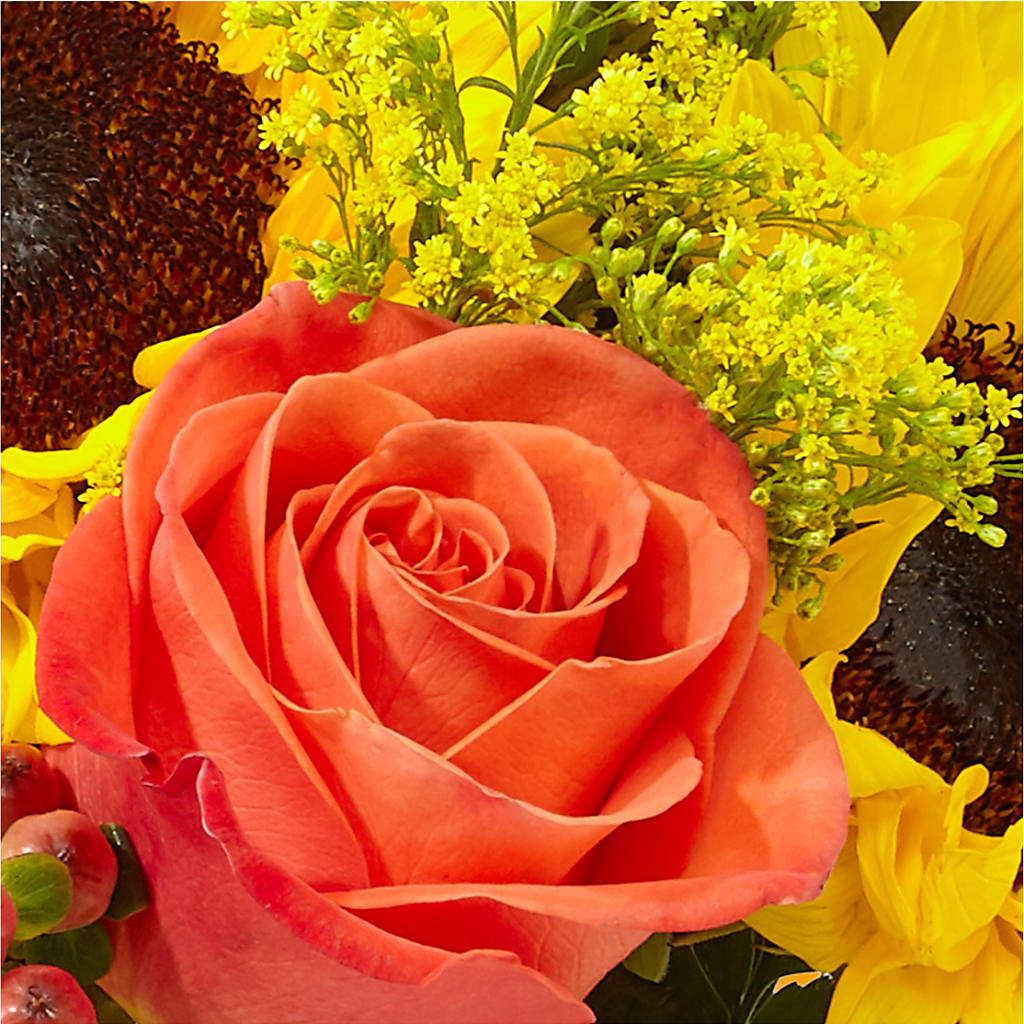 Pick of the Patch Pumpkin Bouquet – BROWN'S FLOWERS & GIFTS, Fircrest WA