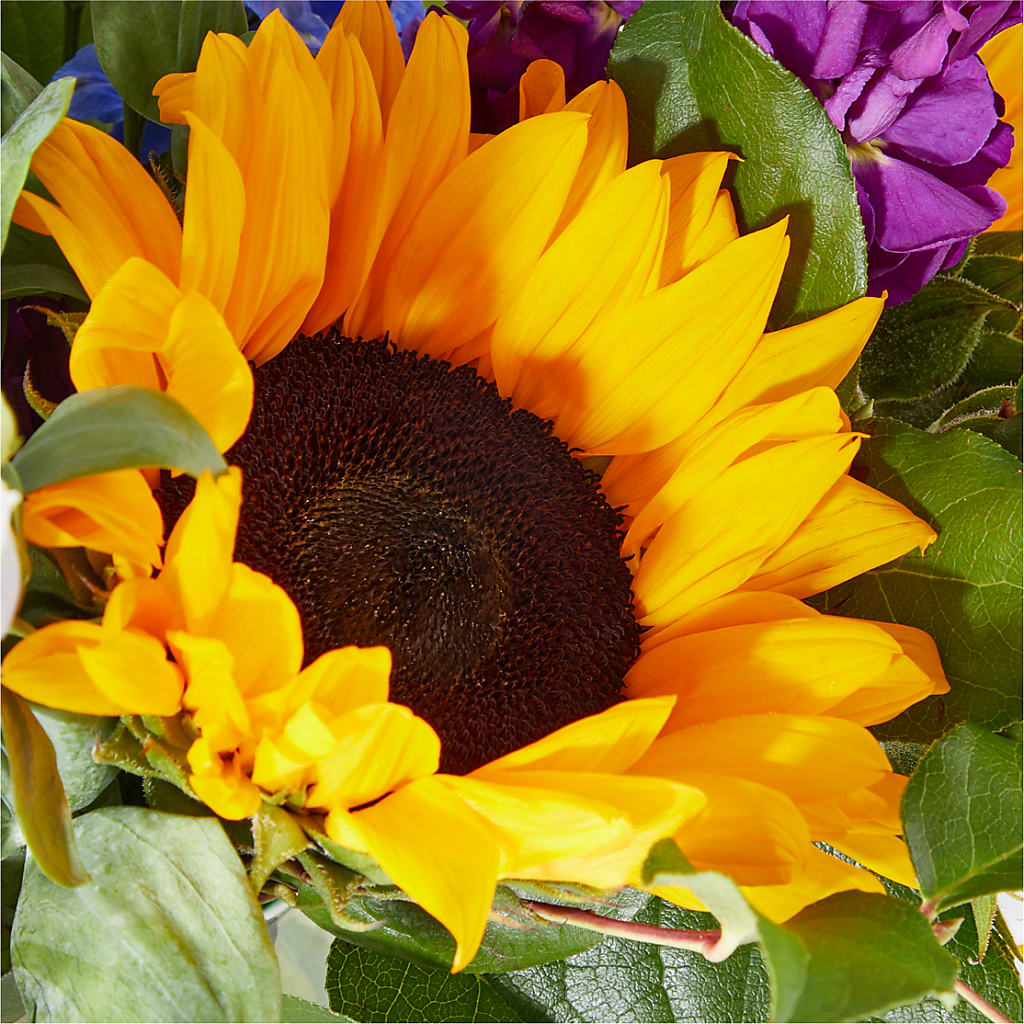 Catching Rays Bouquet – BROWN'S FLOWERS & GIFTS, Fircrest WA