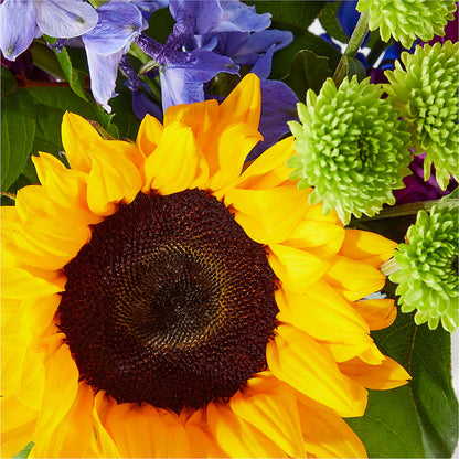 Catching Rays Bouquet – BROWN'S FLOWERS & GIFTS, Fircrest WA
