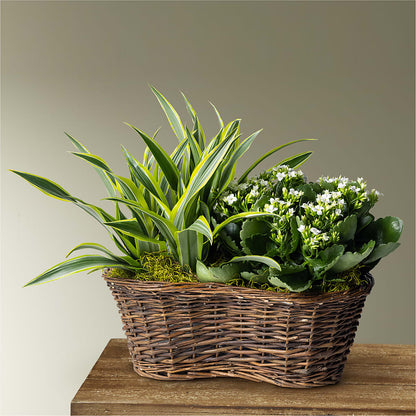 Blooming Garden – BROWN'S FLOWERS & GIFTS, Fircrest WA