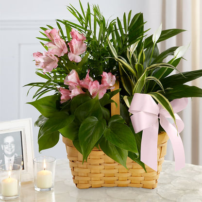 Living Spirit Dishgarden – BROWN'S FLOWERS & GIFTS, Fircrest WA