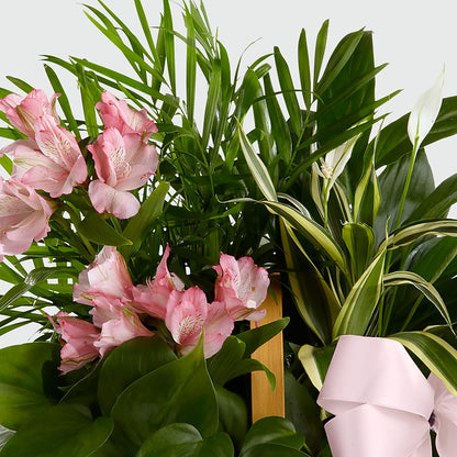 Living Spirit Dishgarden – BROWN'S FLOWERS & GIFTS, Fircrest WA