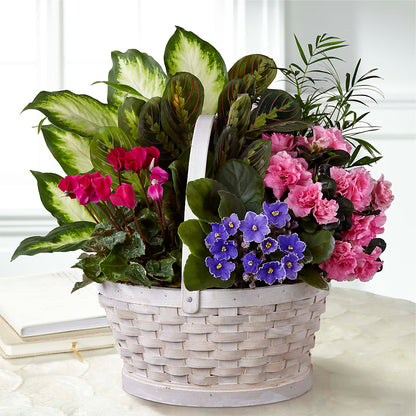 Peaceful Garden Planter – BROWN'S FLOWERS & GIFTS, Fircrest WA