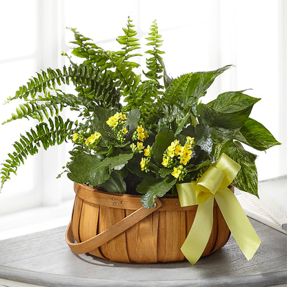 Always Dear Dishgarden – BROWN'S FLOWERS & GIFTS, Fircrest WA