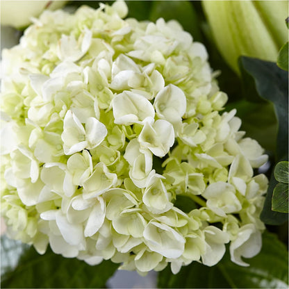 Classic Ivory – A Florist Original – BROWN'S FLOWERS & GIFTS, Fircrest WA