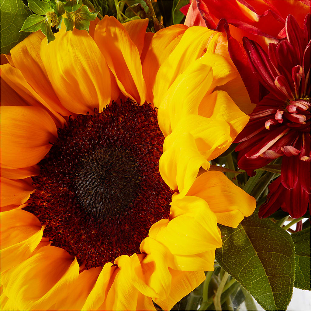 Harvest Festival Bouquet – BROWN'S FLOWERS & GIFTS, Fircrest WA