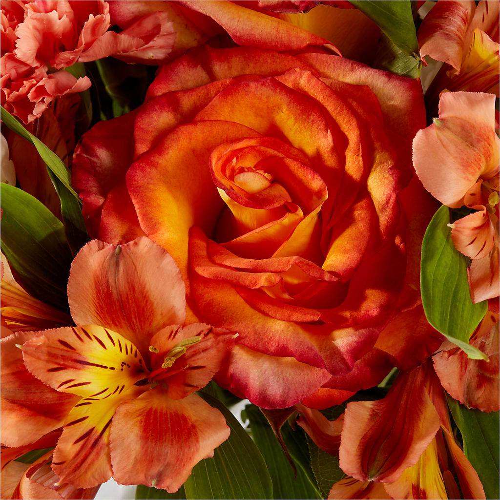 Apricot Glow Bouquet – BROWN'S FLOWERS & GIFTS, Fircrest WA