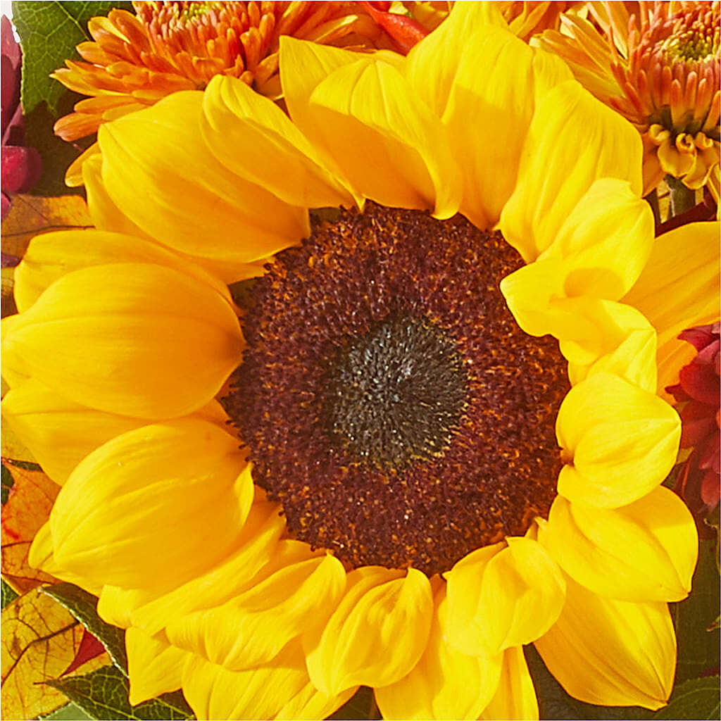 Sunny Side Bouquet – BROWN'S FLOWERS & GIFTS, Fircrest WA