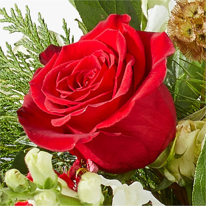 Deck the Halls Bouquet – BROWN'S FLOWERS & GIFTS, Fircrest WA