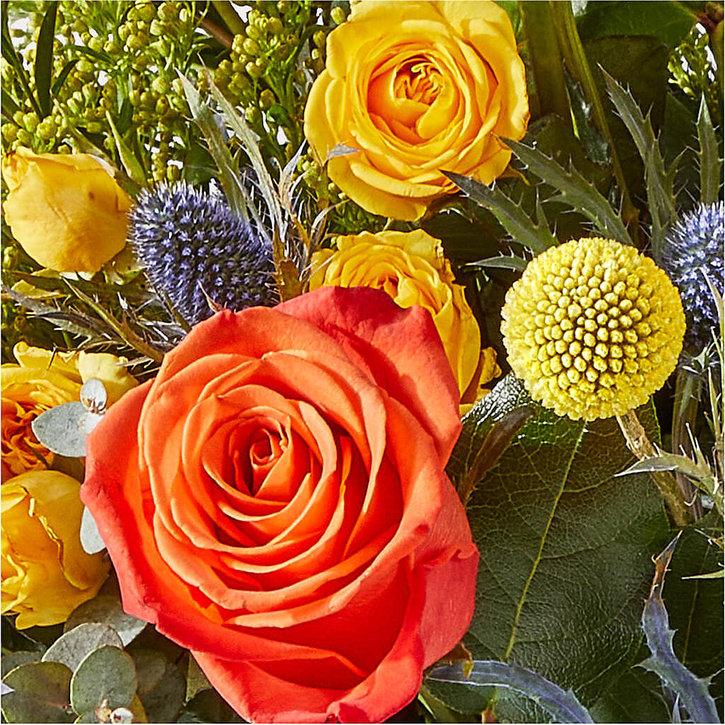 Disco Bouquet – BROWN'S FLOWERS & GIFTS, Fircrest WA