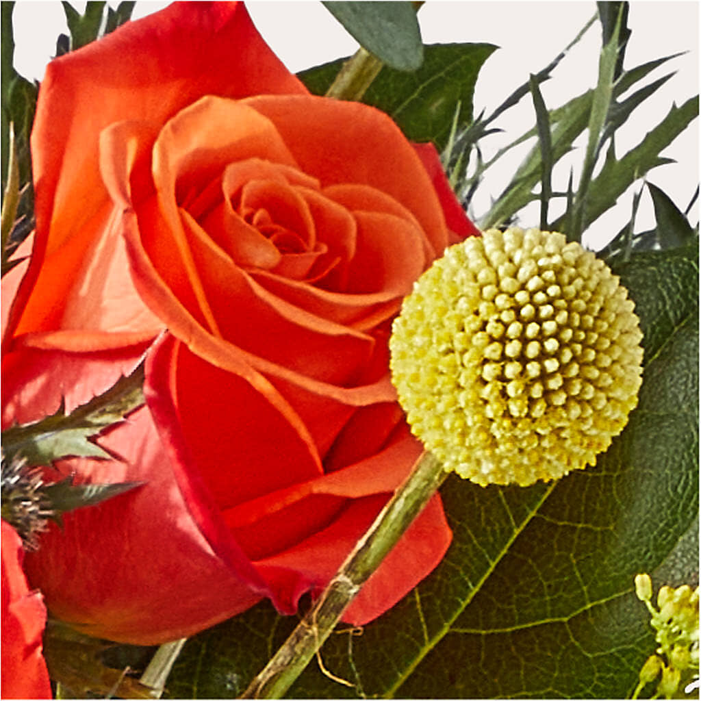 Disco Bouquet – BROWN'S FLOWERS & GIFTS, Fircrest WA