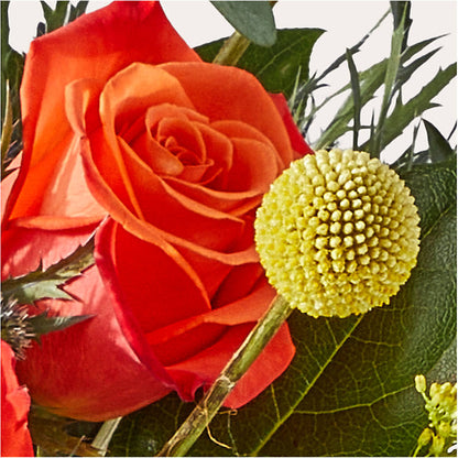 Disco Bouquet – BROWN'S FLOWERS & GIFTS, Fircrest WA