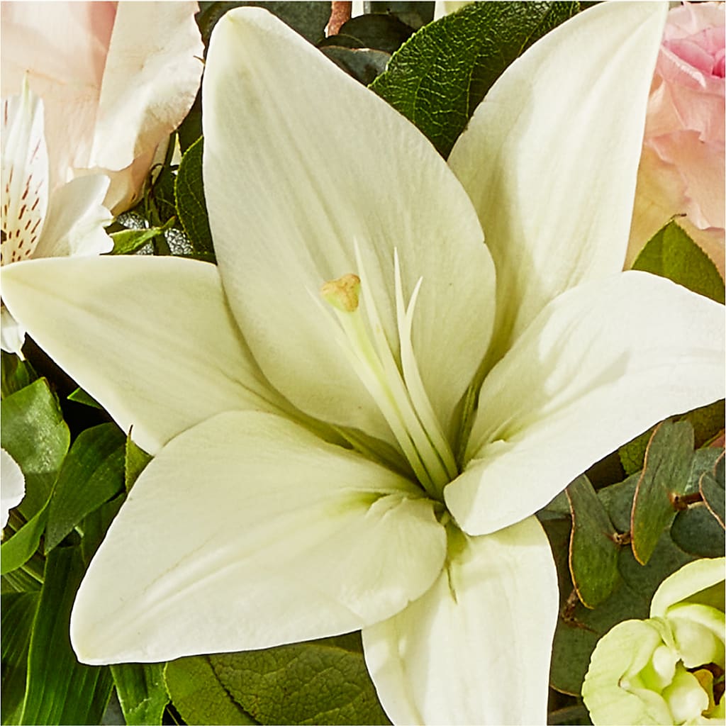 Ballet Slippers Bouquet – BROWN'S FLOWERS & GIFTS, Fircrest WA
