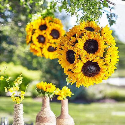 Sublime Garden Hanging Arrangement – BROWN'S FLOWERS & GIFTS, Fircrest WA