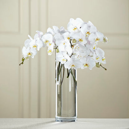 White Phalaenopsis Bouquet – BROWN'S FLOWERS & GIFTS, Fircrest WA
